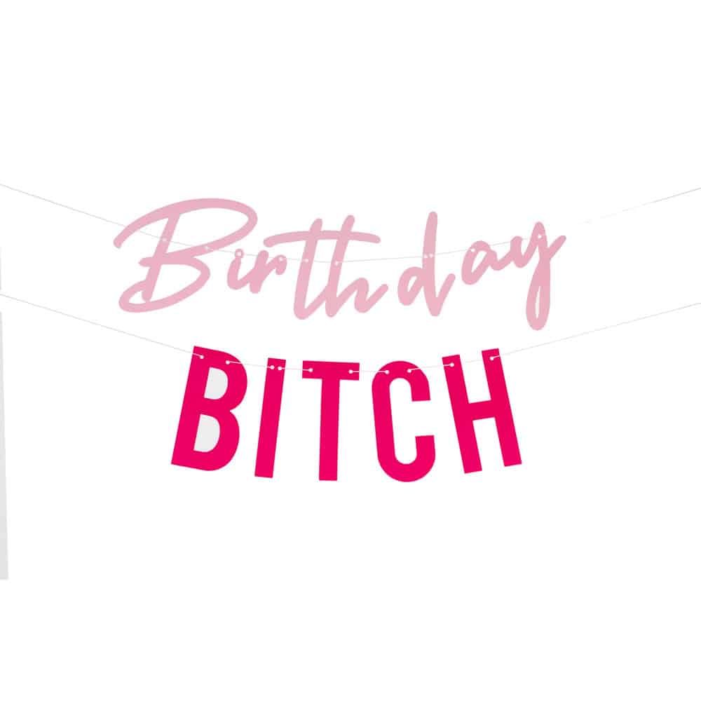 Fotobaren-birthday-bitch-morsomt-rosa-banner-girlander-bursdag-fest-dekorasjon-photo-booth-ginger-ray-2