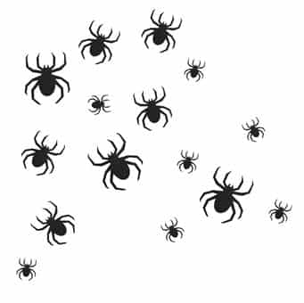 Gingerray-ballons-annet-dekerasjon-spider-halloween-fest-photo-2